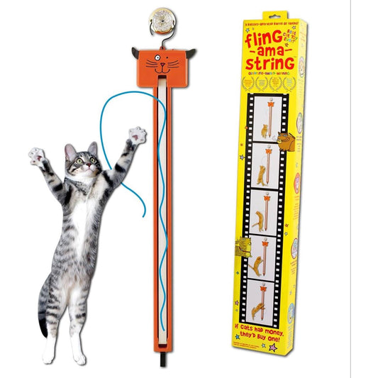Automatic cat toy